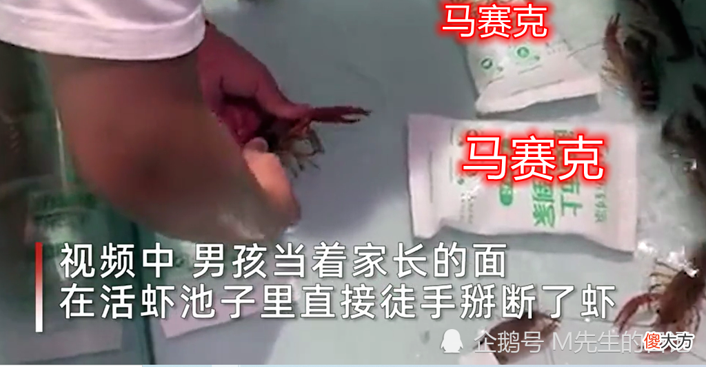 孩子掰断海鲜店活虾头,家长不阻止反在一旁拍视频?这样真的好吗