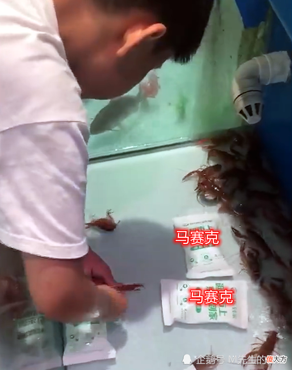 孩子掰断海鲜店活虾头,家长不阻止反在一旁拍视频?这样真的好吗