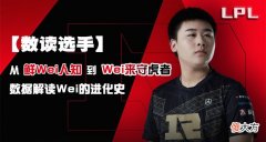 【游戏世界】“数读选手”从鲜为人知到Wei来守虎者，数据解读Wei进化史