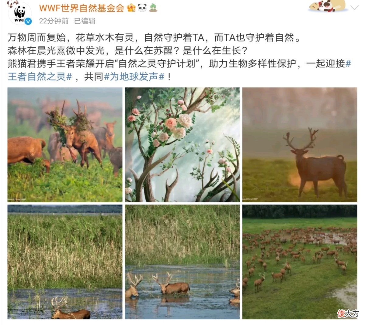 【游戏迷】王者官宣瑶公主拥有两款联动皮肤!双限定传说向孙悟空看齐?玩家炸了!