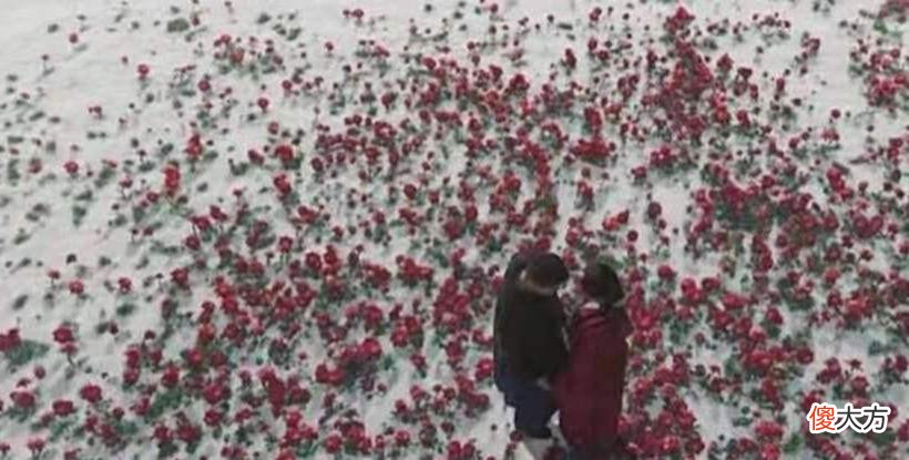 【爱历史】《盗墓笔记》里,小哥张起灵的身世之谜