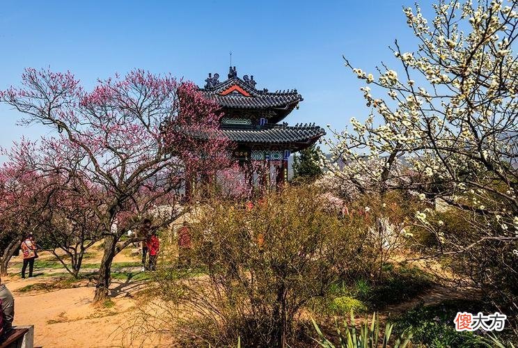 【爱历史】汪精卫死后墓地用5吨碎钢，下葬时有多气派，挖出来时就有多狼狈