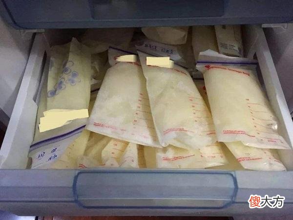 喝冻奶还是喝奶粉?宝妈婆婆争吵不休,“冻奶”相关知识快来get