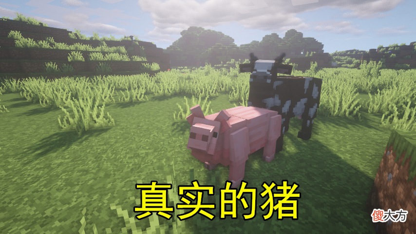 【游戏世界】我的世界:原来我们都被骗了,这才Minecraft真实的样貌