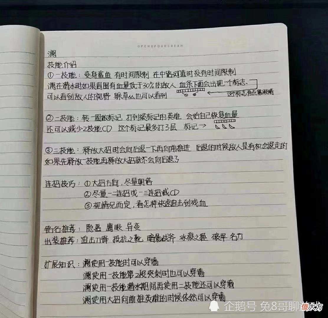 【游戏迷】王者荣耀新英雄澜，冷却缩减是无限二技能的基础，定位打野最实用