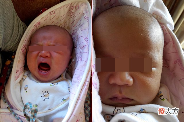 孩子一哭就抱,会养成不好的习惯?“恒河猴”实验:这并非真相
