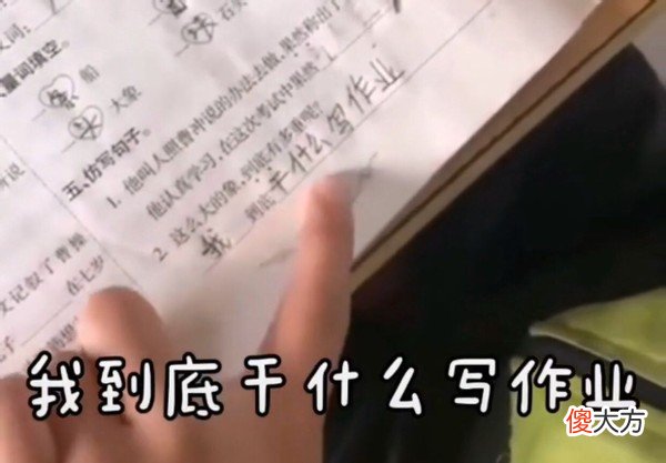 用“什么是什么”造句，孩子：我是驴，作业都一样，答案千万种