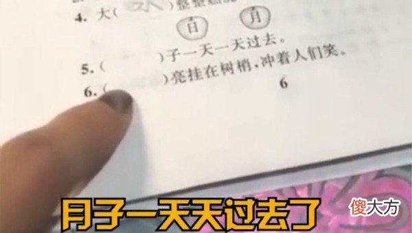 用“什么是什么”造句，孩子：我是驴，作业都一样，答案千万种