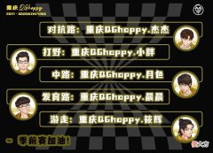 【游戏世界】QG五虎彻底退出舞台！fly与刺痛现状让人心疼，林教练成罪魁祸首