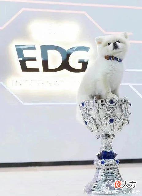 【游戏迷】XYG和EDGM一战热度突破4000万，EDG粉丝来助阵，关门打狗太败好感