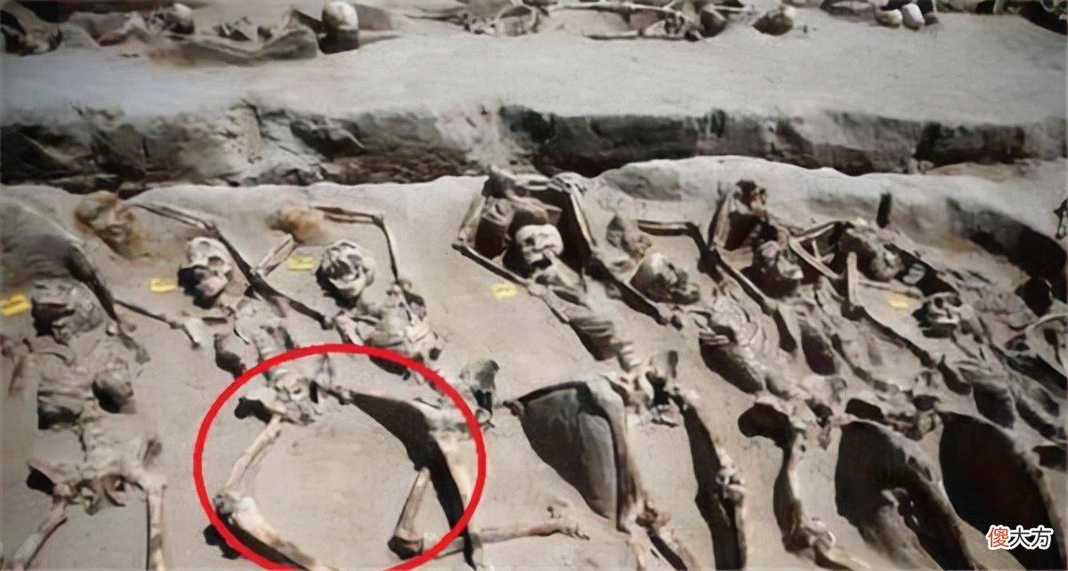 【历史故事】皇帝死后要妃嫔们陪葬，为什么要这样做，她们死前经历了什么？