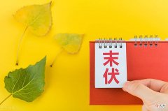 【爱历史】8月15日末伏，老人说“庚子入末伏，热到处暑后”，什么是“庚子”