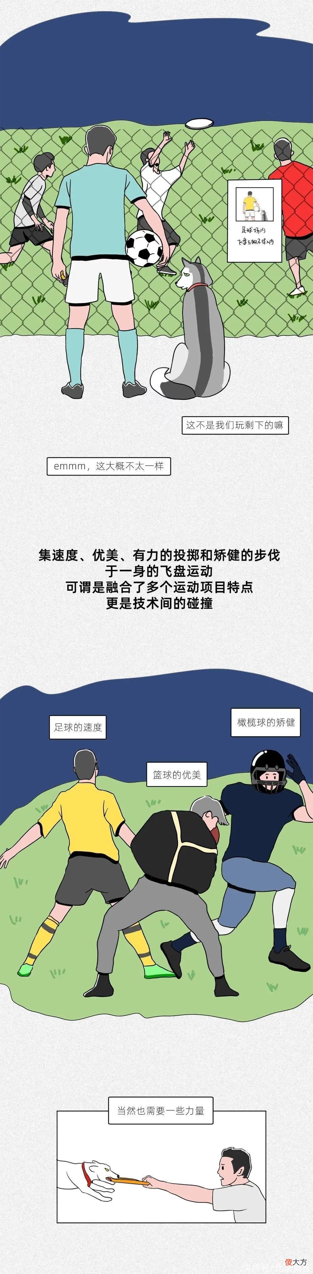 【游戏世界】不会吧？真有人花7万买飞盘！那不是给狗玩的游戏吗？