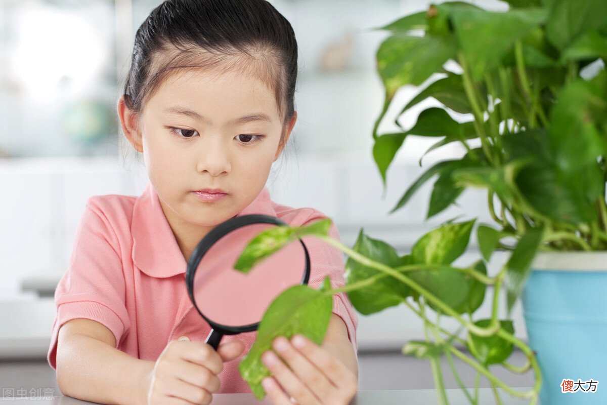 孩子玩手机、游戏成瘾，不愿学，如何远离“上瘾” 走向快乐生活？