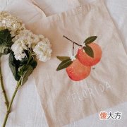 梦见狼是什么意思呢？