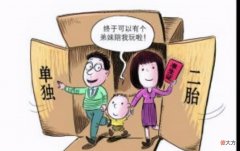 专家鼓励高学历人群生二胎，建议很好，但越是高学历者越不想生！