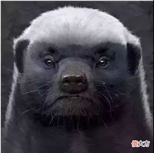 【游戏迷】把虎训成猫？快手YTG在本赛季最失败的决策，就是接受770执教！