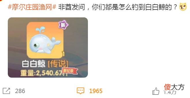【游戏迷】摩尔庄园成钓鱼软件？都在等白白鲸上钩，还炸出各种玄学教程