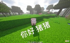 【游戏迷】“MC是一个人的世界！”对于普通玩家来说，它是否等于单机游戏？