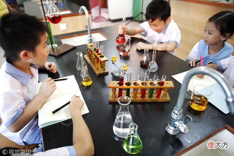 李玫瑾对话俞敏洪：孩子被欺负家长要出头吗？用这3点管用