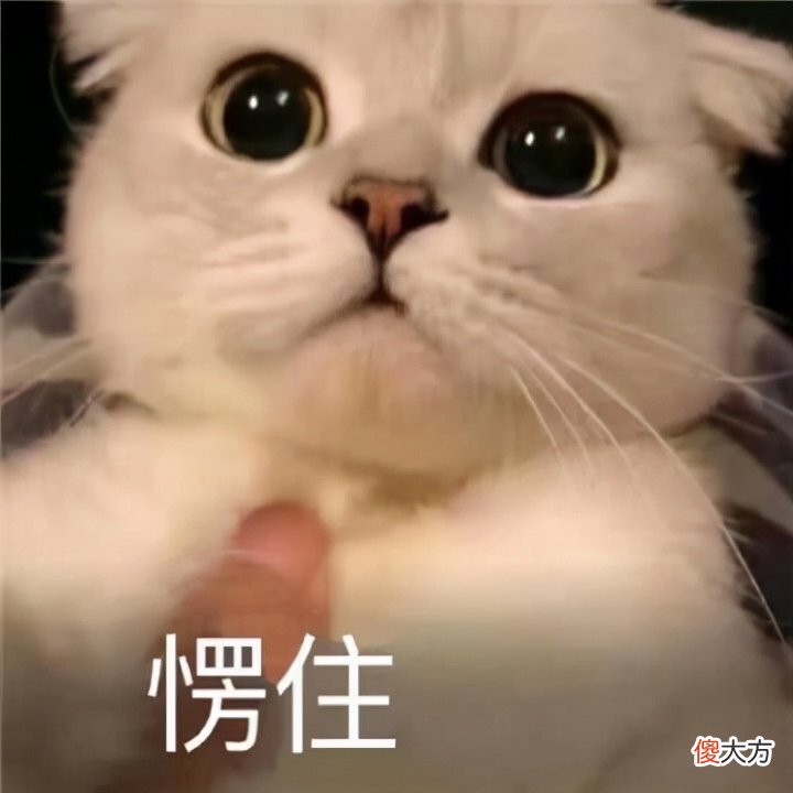 年薪百万的中产心塞：我奋斗了这么久，孩子却连高中都考不上