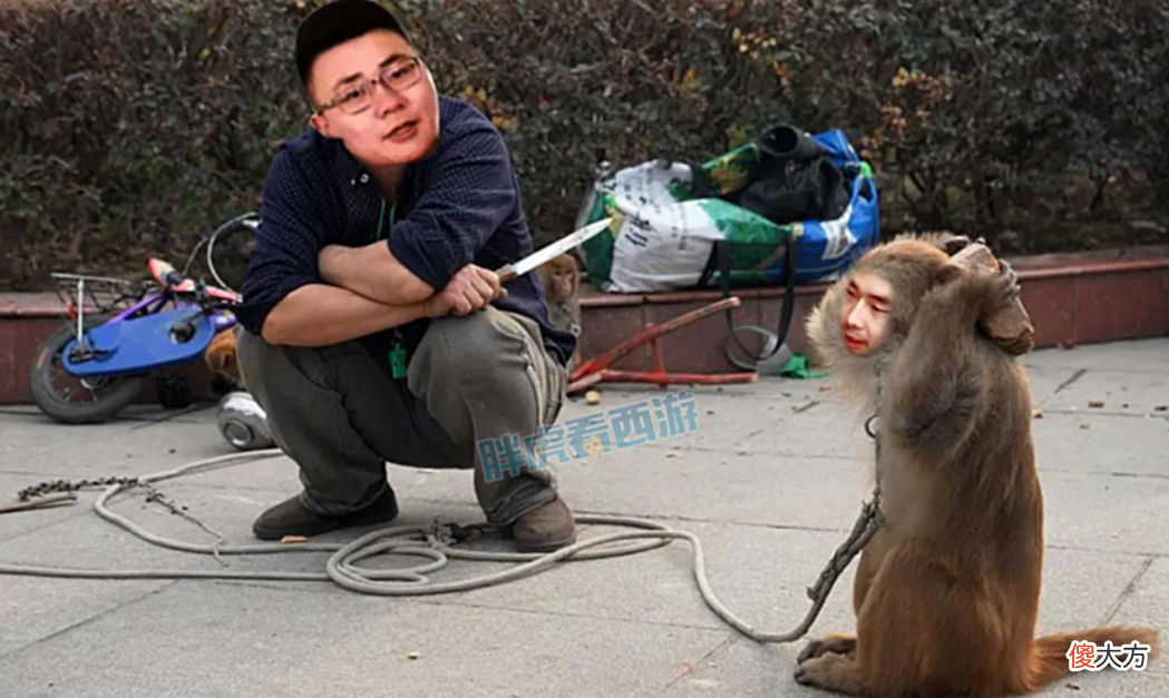 【游戏世界】梦幻西游：渔岛49回合战胜猴宝阁，猴哥输得不服扬言下周复仇