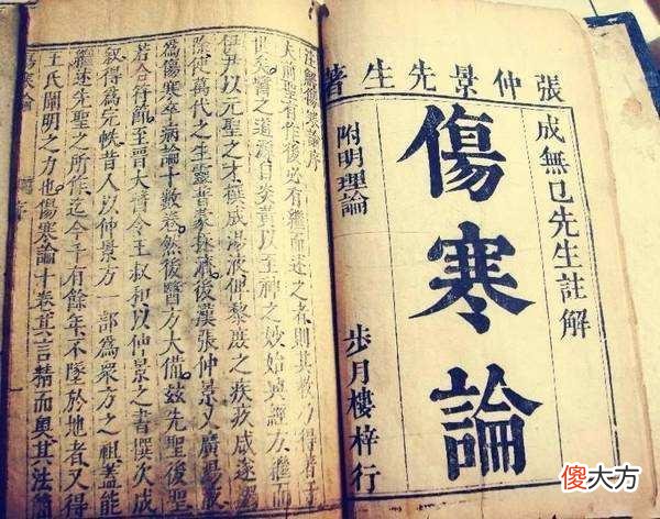 【历史故事】黄巾起义的元凶，三国鼎立的导火索，医圣张仲景无力回天的大瘟疫
