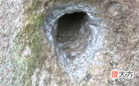 福建“出米岩”：一条独特的石缝，每天流出一碗米，至今是一个谜