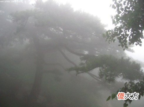 八字十天干图说