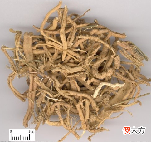 八字十天干图说