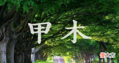 天干之间的区别及用神