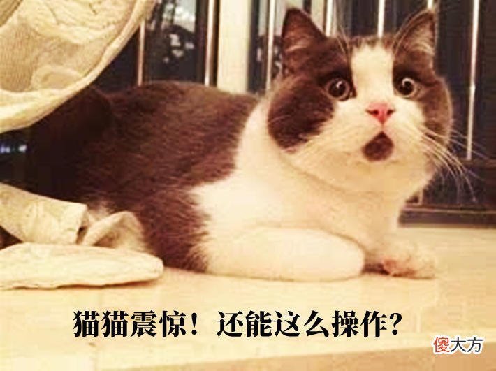【游戏迷】网游最牛摆烂玩家？玩了四年一分钱没充，装备比搬砖党还差