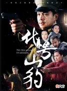 【历史故事】《代号山豹》另类抗日谍战：3种身份的3个男人，与一女子的故事