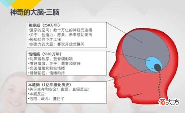 孩子的4种表现，暗示不同的“性格”，你家属于哪种？