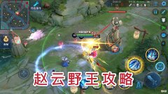 【游戏世界】野王赵云只需2110，残血浪到飞起？