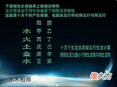 “阳干从气不从势, 阴干从势无情义”?