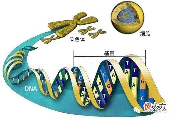 “地包天”是什么原因导致的？哪些是我们可以做到，可以预防的？