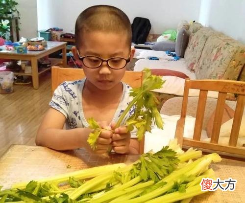 家长建议把《荷塘月色》移除课本，家长是不是太玻璃心了