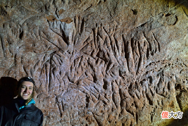 巴西13000年前的史前隧道,研究确认并非人类建造,那从哪里来的