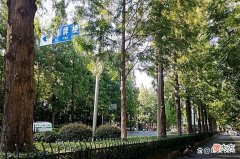 【爱历史】民间传说，民国时期的中国有三个半军事家，三个半军事家都有谁？