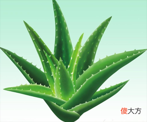 总经理办公室风水布局和装修禁忌