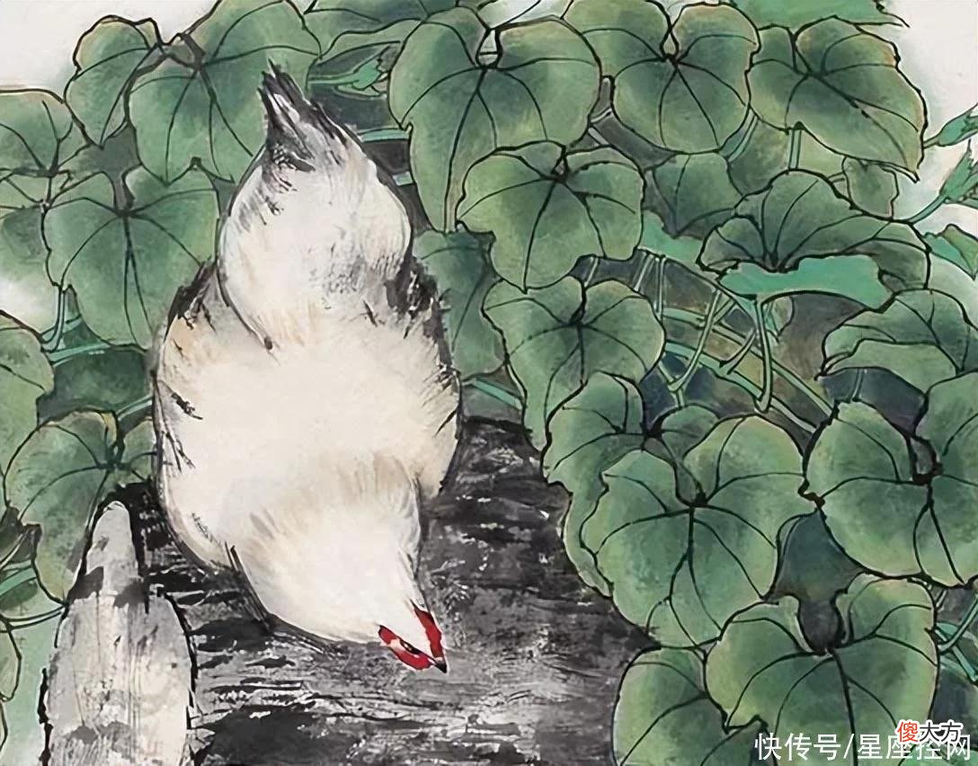 【十二星座】生肖蛇找个什么生肖的伴，婚姻幸福，钱财增多，幸福指数高