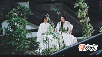 【爱历史】《陈情令》番外：岁暮阴阳催短景，天涯霜雪霁寒宵
