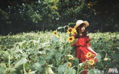 【十二星座】8月底，雄才大略的3个生肖，天降桃花，再续良缘，爱情事业双丰收