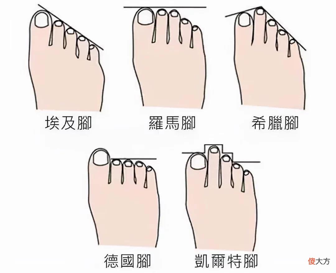 【就爱时尚】今年的鞋跟流行“穿低不穿高”，舒适又显高，精致女人都爱
