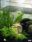 古代传说的十大镇宅宝物 你家有几个？