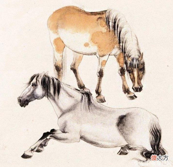 【星座控】哪几个生肖,一路披荆斩棘,事业渐有起色,人生要走上坡路