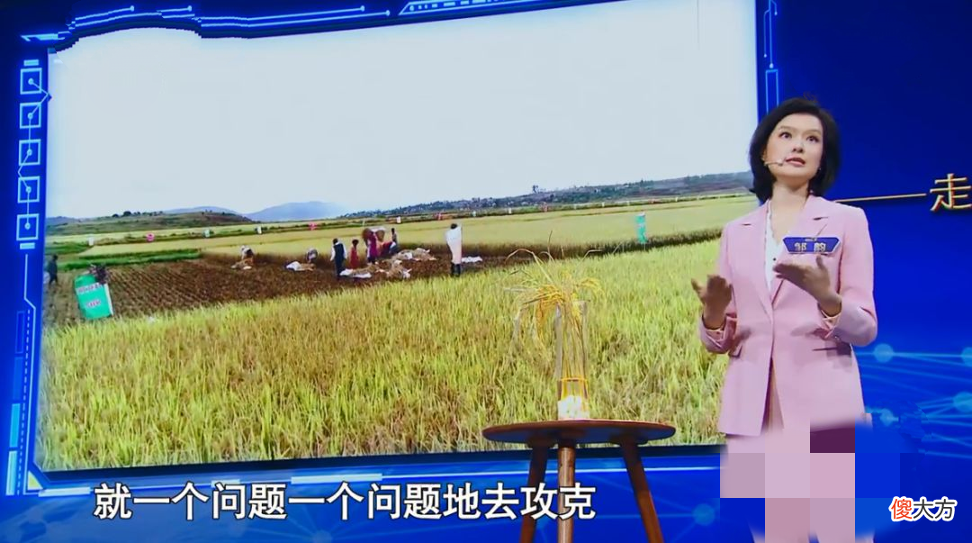 因不善言辞错失首席实习生的机会：不善于表达自己的孩子，太吃亏