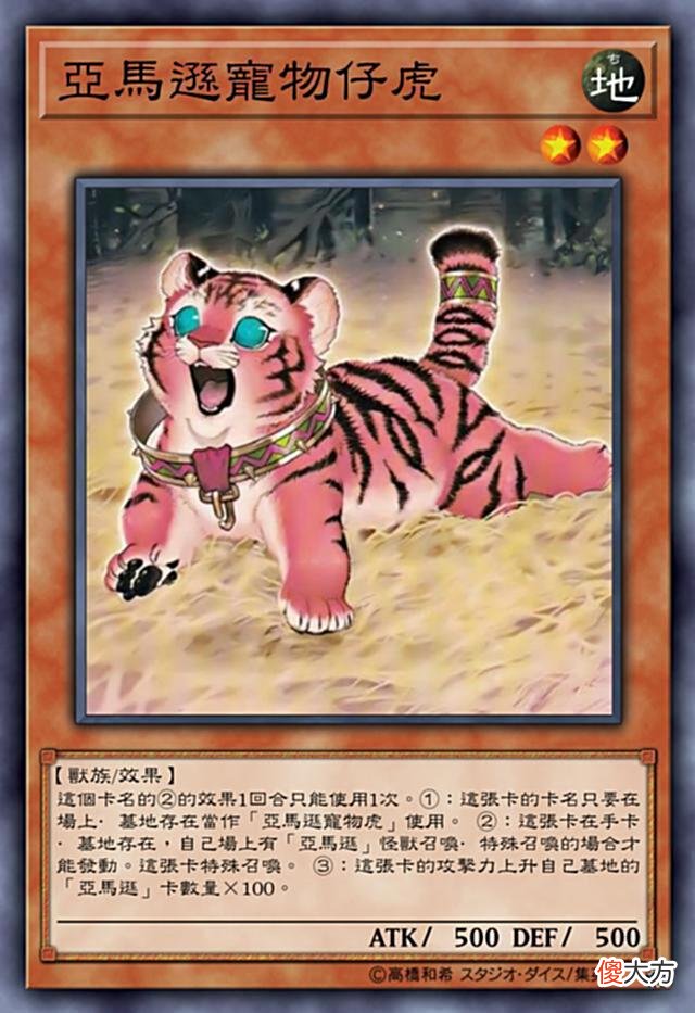 【游戏世界】游戏王：亚马逊卡组，总会有适合你的款式！