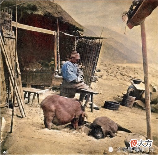 【爱历史】晚清老照片：毛驴驮大缸，慈禧太后出行排场大，衙役穿着像乞丐